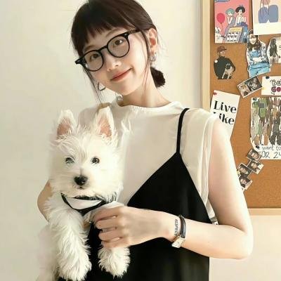 博斯：传承第三季